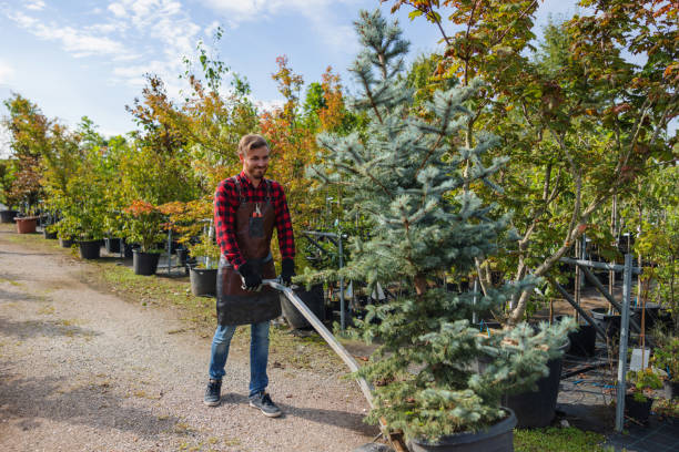 Best Weed Control  in Vaeboro, NC